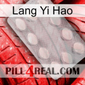 Lang Yi Hao 16